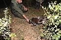 VBS_6488 - Inaugurazione Stagione 2022-23 Simulazione Ricerca Tartufo